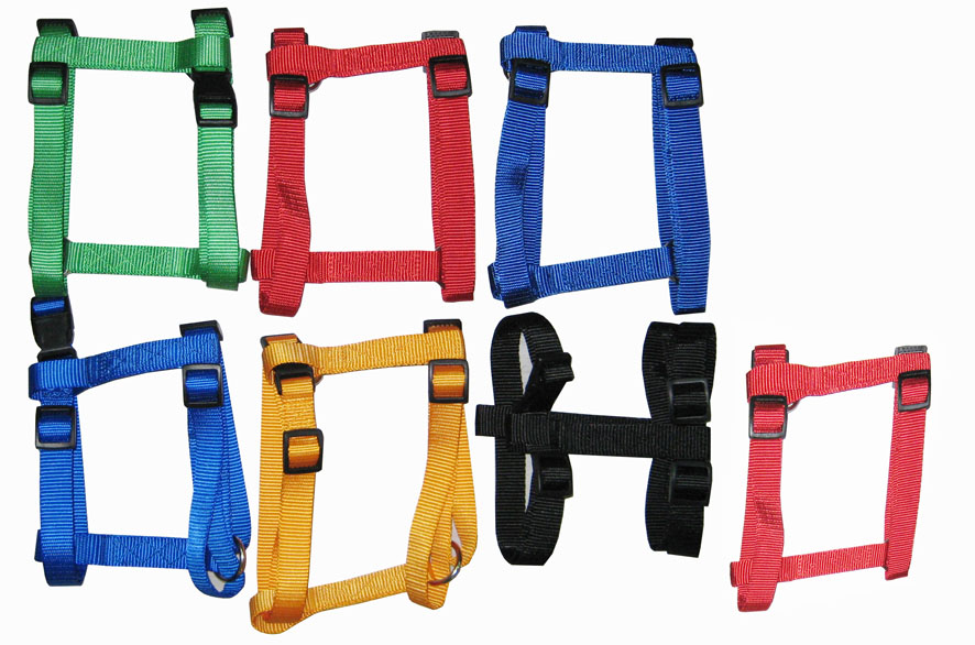 Leash & Collar Lcq0005