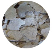Eco Cat Litter (Flake)